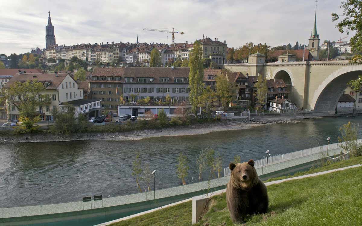 Parchi nazioali svizzeri parco dell’Orso di Berna